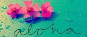 stock image of tropical flowers with text that reads "aloha"